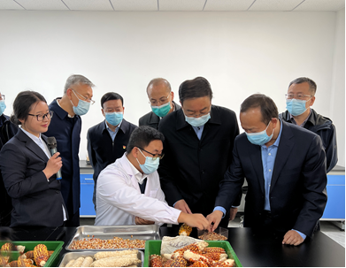 扛牢重任 搶抓機遇 加快創(chuàng)新 振興種業(yè) 副省長張世珍一行蒞臨敦煌種業(yè)集團調研